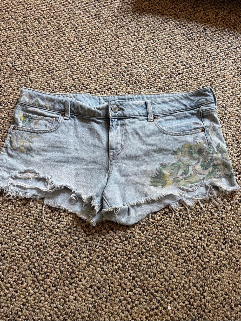 American Eagle Outfitters Light Blue Denim Shorts with Floral Paint